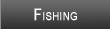 South Holston Fishing